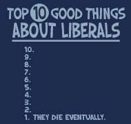 Top 10 Good things about Liberals
